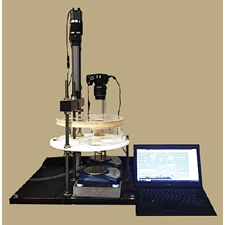 CA88(中国区)有限公司 - 官方网站