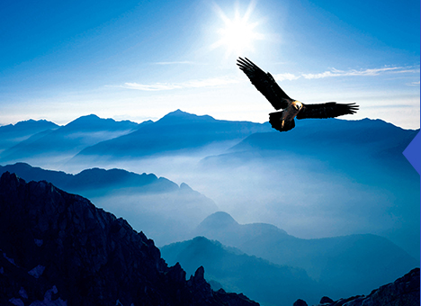 CA88(中国区)有限公司 - 官方网站